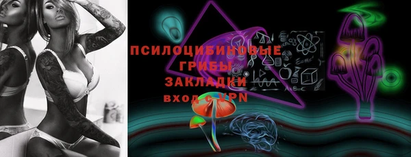 ПСИЛОЦИБИНОВЫЕ ГРИБЫ Абаза