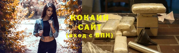кокс Алексин